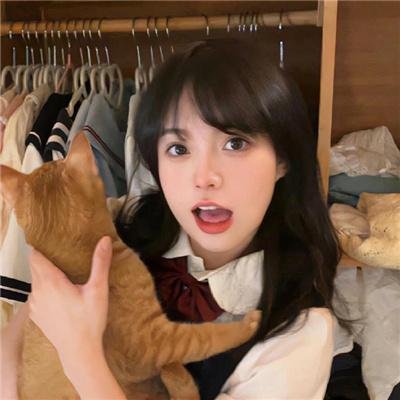 泰迪熊